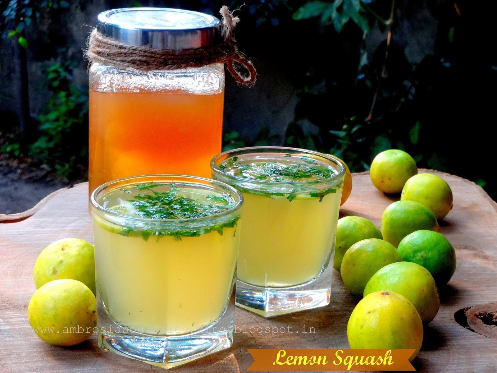 Squash Drink